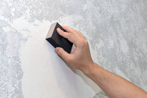Mold Remediation for Rental Properties in Heber Overgaard, AZ