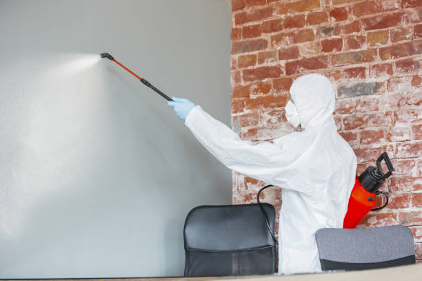 Best Commercial Mold Inspection  in Heber Overgaard, AZ