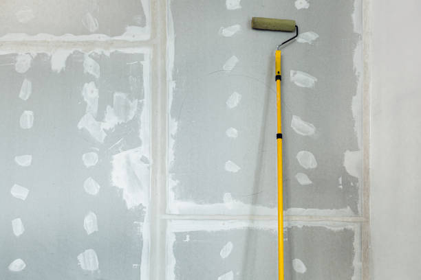 Best Mold Odor Removal Services  in Heber Overgaard, AZ