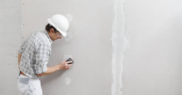 Best Residential Mold Inspection & Testing  in Heber Overgaard, AZ