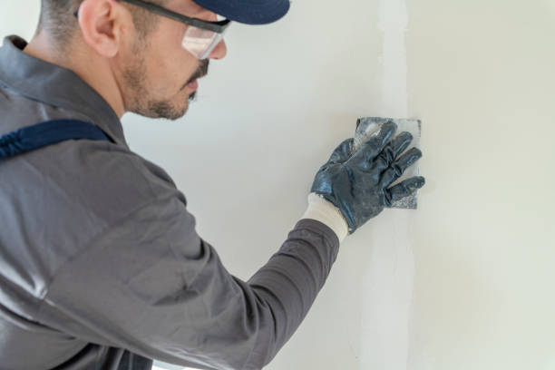 Best Mold Damage Restoration  in Heber Overgaard, AZ