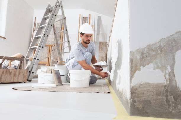 Best Comprehensive Air Testing for Mold Contaminants  in Heber Overgaard, AZ