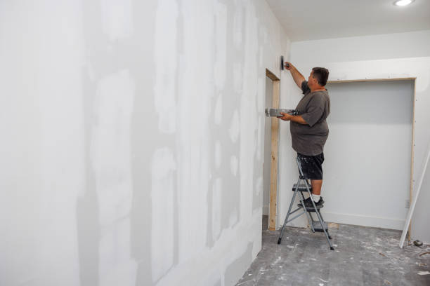 Best Mold Documentation for Insurance Claims  in Heber Overgaard, AZ