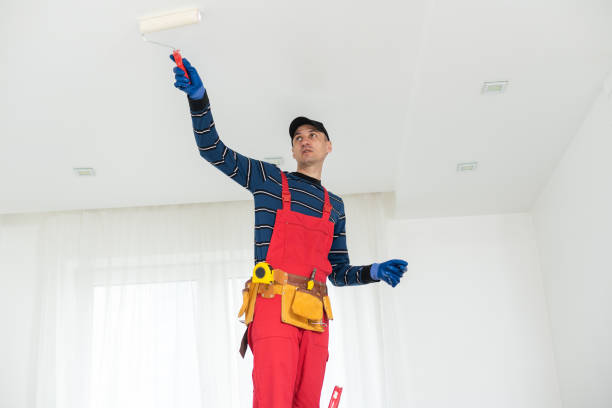 Best Environmental Consulting for Mold Prevention  in Heber Overgaard, AZ