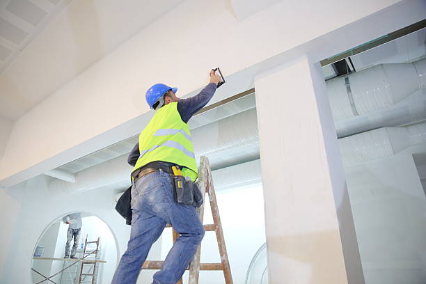Best Comprehensive Air Testing for Mold Contaminants  in Heber Overgaard, AZ
