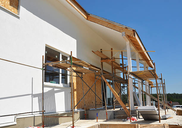 Best Basement Mold Removal  in Heber Overgaard, AZ